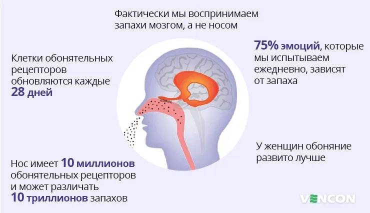 ≋ Как избавиться от запахов в ванной ...