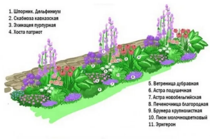 Что такое миксбордер, оформление миксбордера