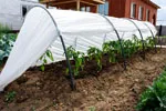 Как самостоятельно изготовить и установить парник «Хлебница»: практические рекомендации для садоводов и огородников