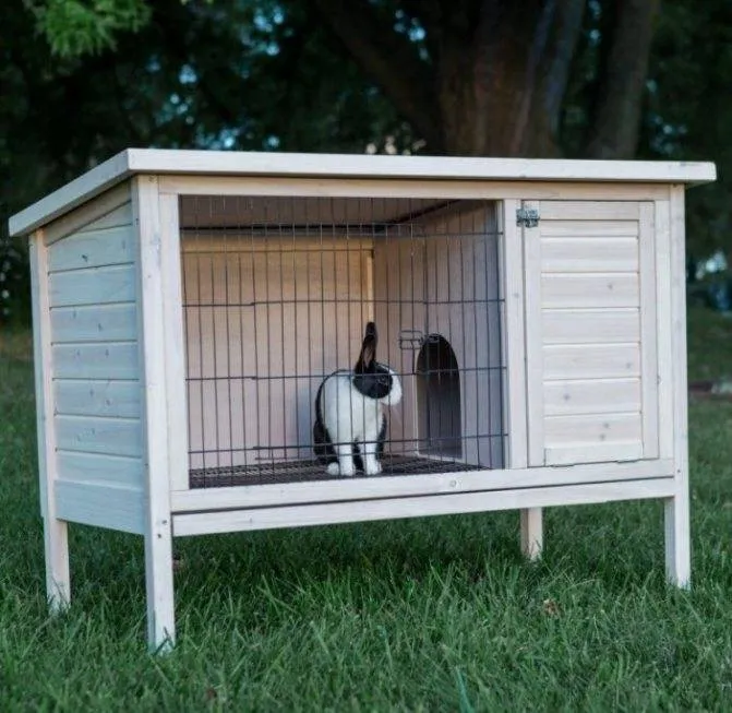 Домик для декоративного кролика: пошаговая инструкция изготовления