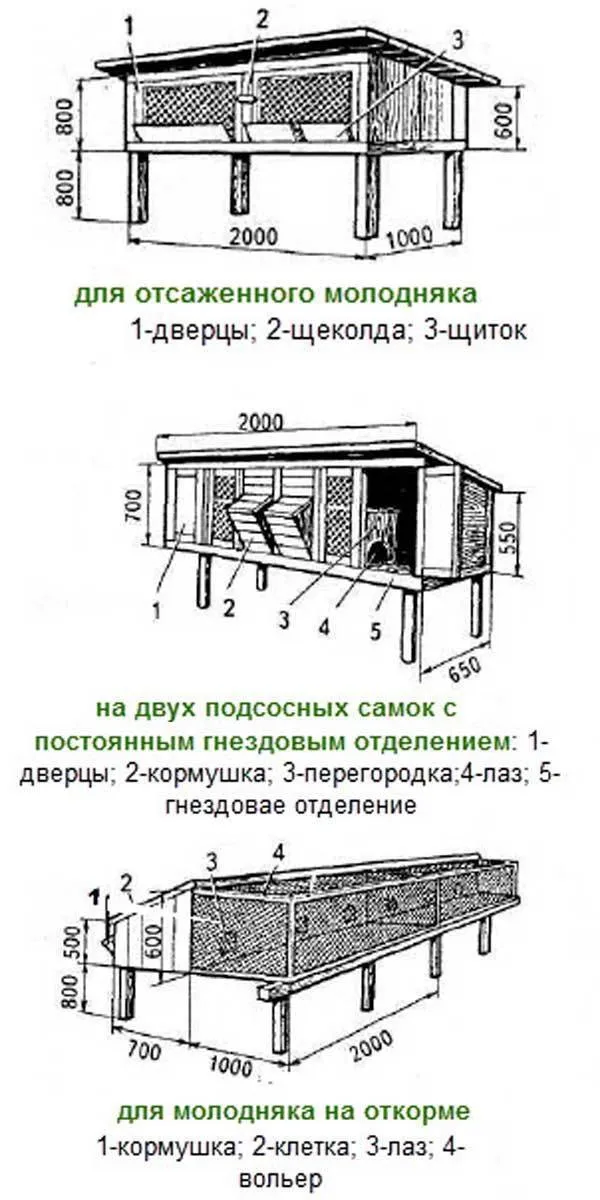 Домик для декоративного кролика: пошаговая инструкция изготовления