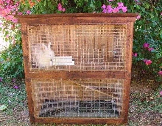 Домик для декоративного кролика: пошаговая инструкция изготовления