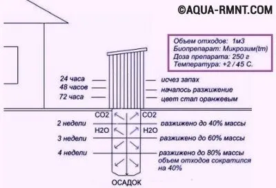 Схема очистки выгребной ямы биопрепаратами