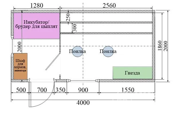 Если планируется самостоятельное разведение, в птичнике нужно сразу выделить место для инкубатора и брудера