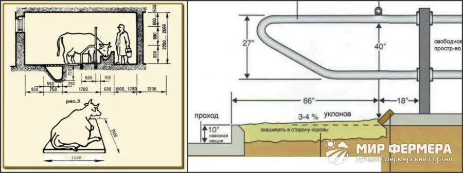 Размеры стойла для скота