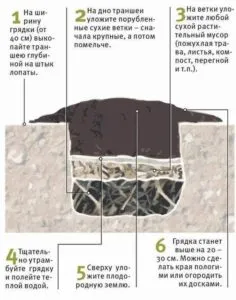 Теплые грядки для клубники: как сделать своими руками, фото, размеры и посадка