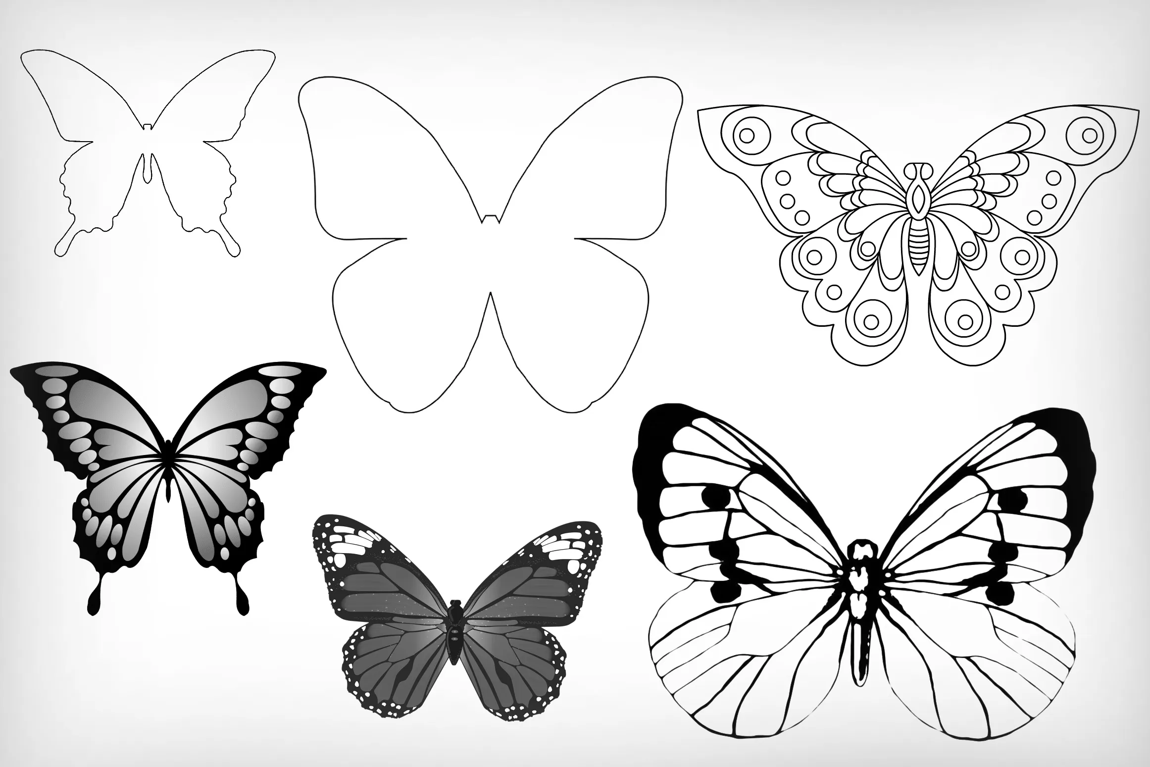 Трафареты бабочек