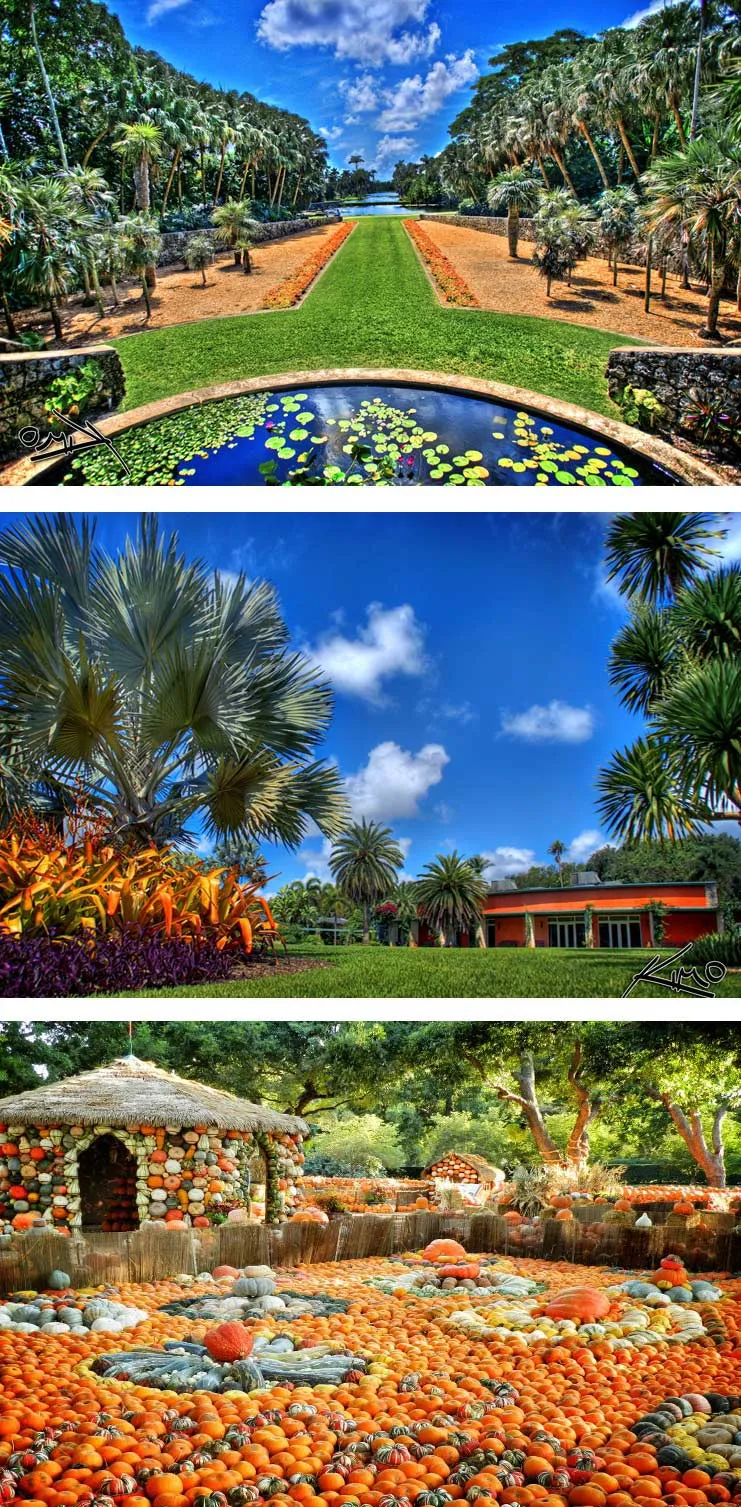Fairchild Tropical Botanic Garden: Coral Gables
