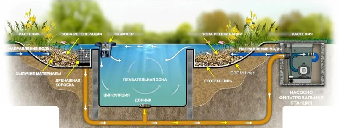 Схема работы фильтров для очистки пруда
