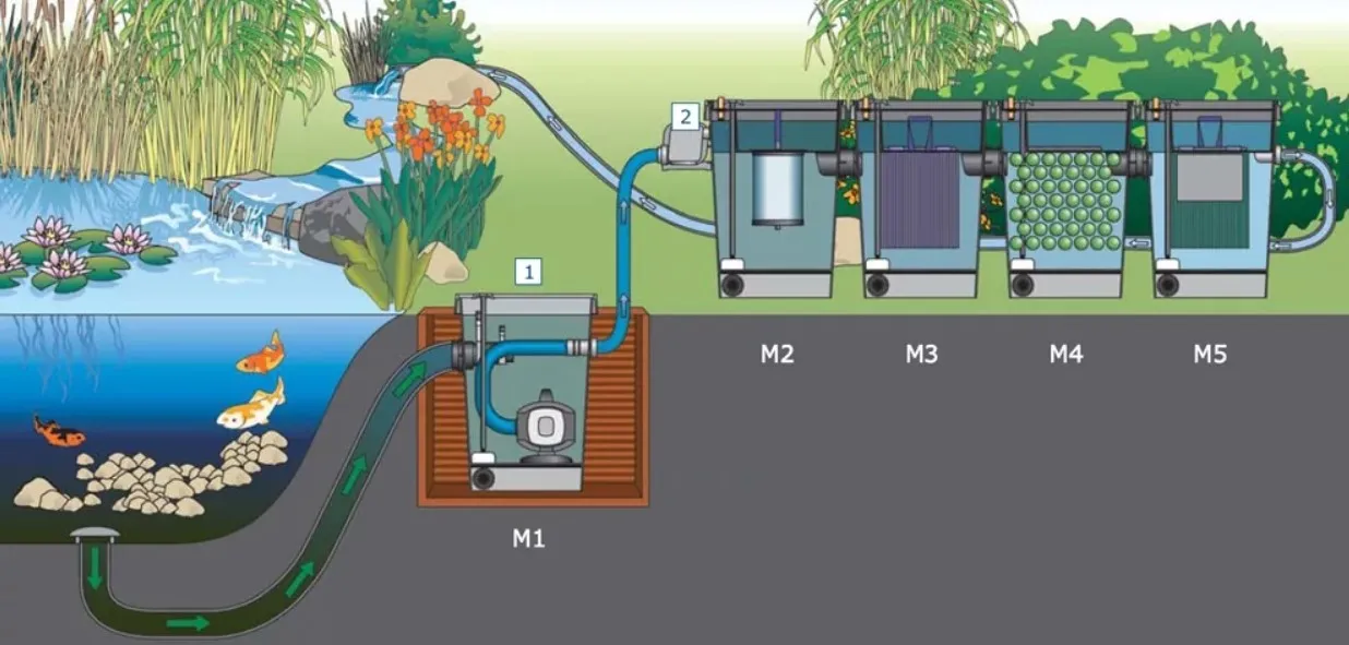 Схема работы фильтров для очистки пруда