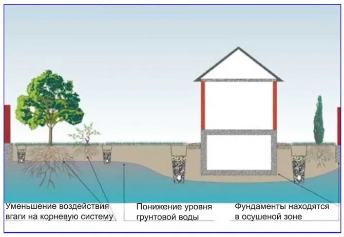 Схема дренирования для снижения уровня грунтовых вод.