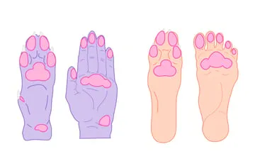 drawingdogs_3-1_paws_human_hands_comparison