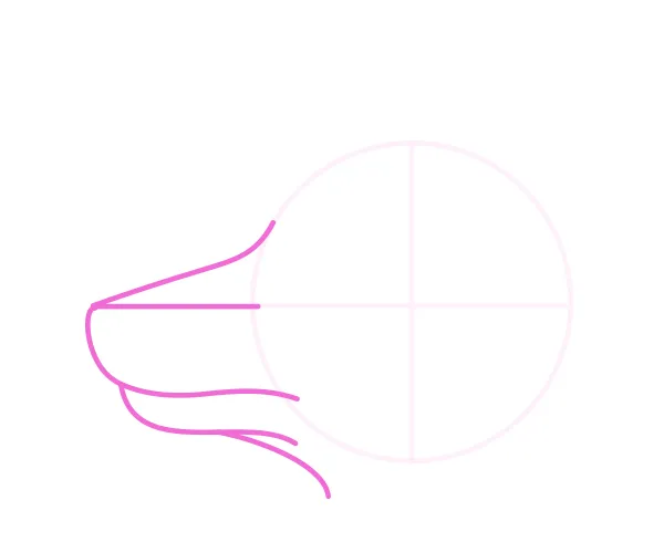 drawingdogs_4-9_head_profile