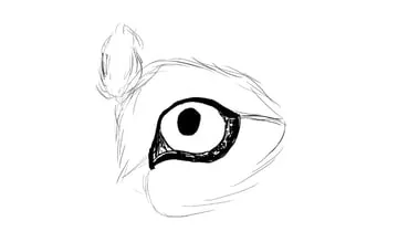 drawingdogs_5-5_eye