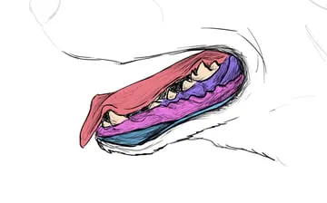 drawingdogs_8-1_mouth