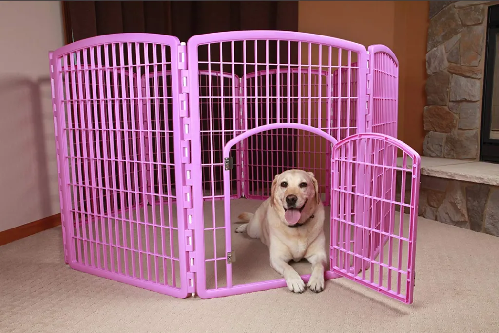 Ограда для собаки