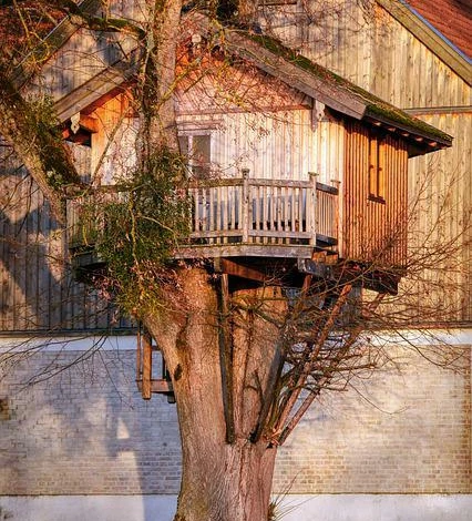 Виды домиков на дереве