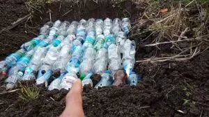 Грядки из пластиковых бутылок своими руками: вертикальные, высокие, теплые