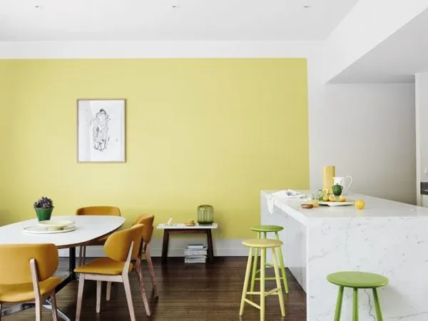 Какая из моющихся красок лучше для кухни - чем покрасить стены вместо обоев