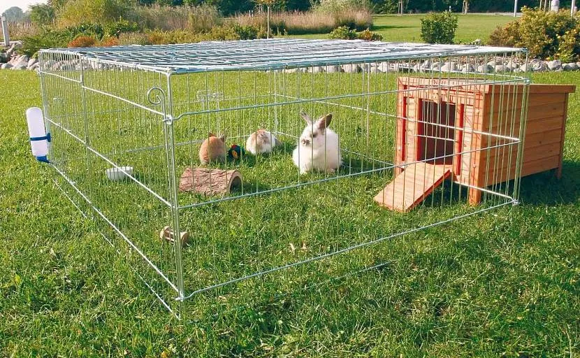 Вольер для кроликов