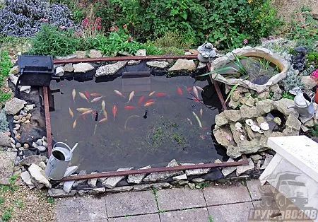 искусственный пруд с рыбками