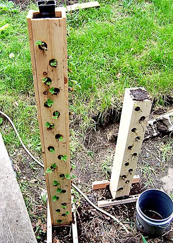 Изготовление вертикальной грядки для выращивания клубник из деревянных досок своими руками