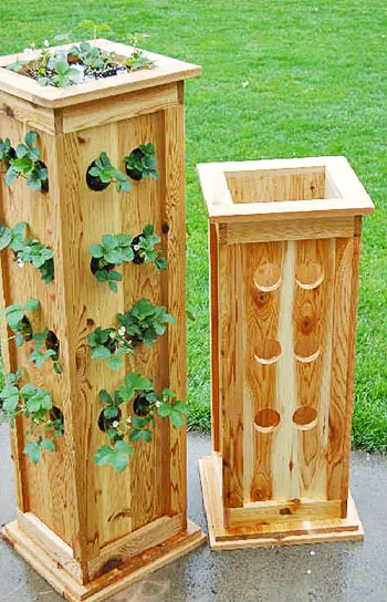Вертикальная грядка для выращивания клубники, сделанная из деревянных досок своими руками