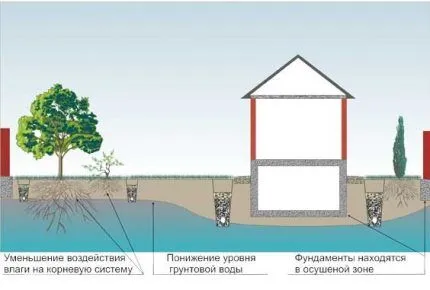 Схема дренажной системы