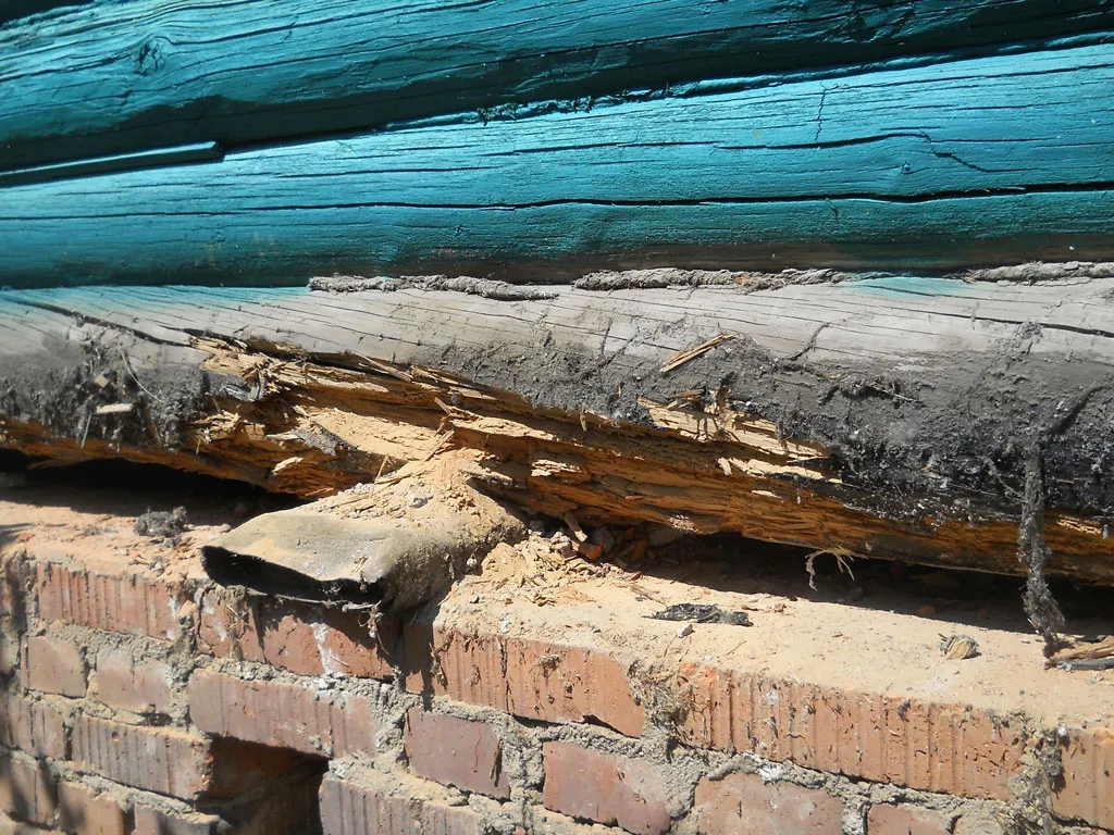 Ремонт нижних венцов деревянного дома чаще требуется там, где древесина не получила должной защиты от влаги