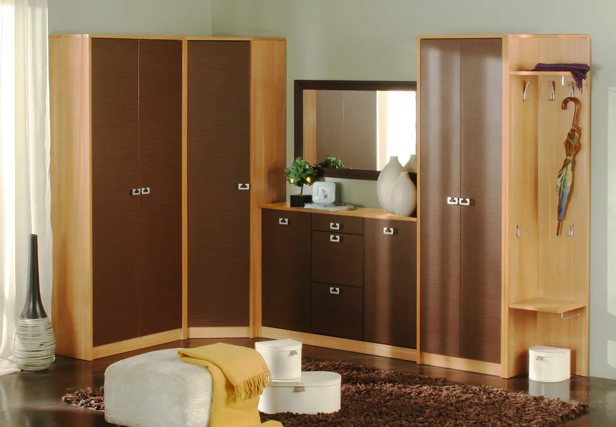 cupboard-designs-for-hall-5