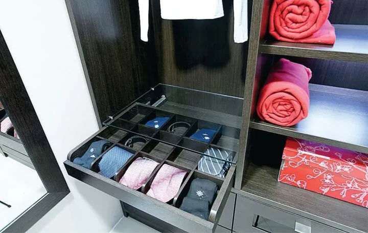Отдельный выдвижной ящик для галстуков в шкафу-купе