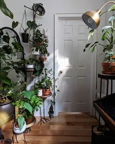 Room With Plants, House Plants Decor, Plant Decor, Plant Rooms, Wall Plant Hanger, Plant Wall, Living Room Diy, Living Spaces, Garden Wall