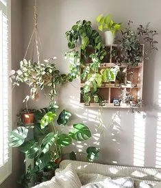 Plant Mom, Plant Lady, Indoor Gardens, Plant Goals, Creation Deco, Plant Aesthetic