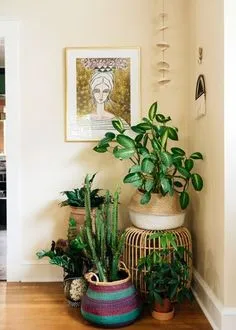 Love this little plant corner! /// Eclectic Living Room by Hado Photo Indoor Plants Decor Living Room, Plant Decor Indoor, House Plants Indoor, Bedroom With Plants, Eclectic Decor Plants, House Plants Decor Living Room, Boho Plant Decor, Balcony Plants, Fresh Living Room