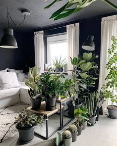 Small Condo Living, Condo Living Room, Plant Apartment, Plant Display Ideas, Indoor Water Garden, Sexy Bedroom