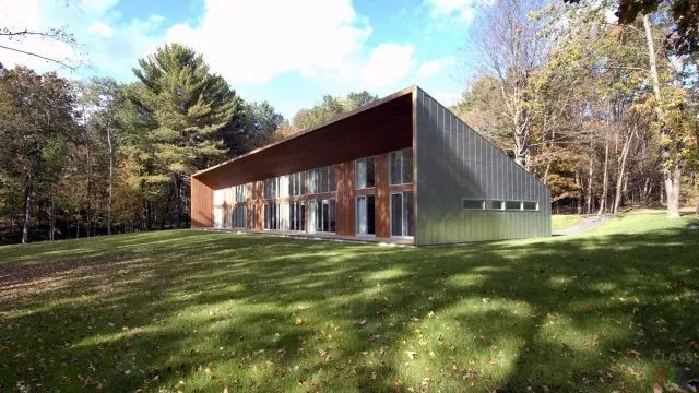 Просторный одноэтажный дом современной архитектуры на лесной поляне