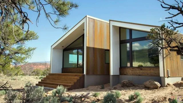 Комбинированный дом с односкатной крышей среди сосен