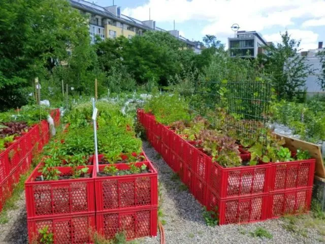 Высокие грядки из поддонов своими руками