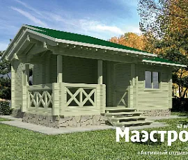 Проект бани Маэстро