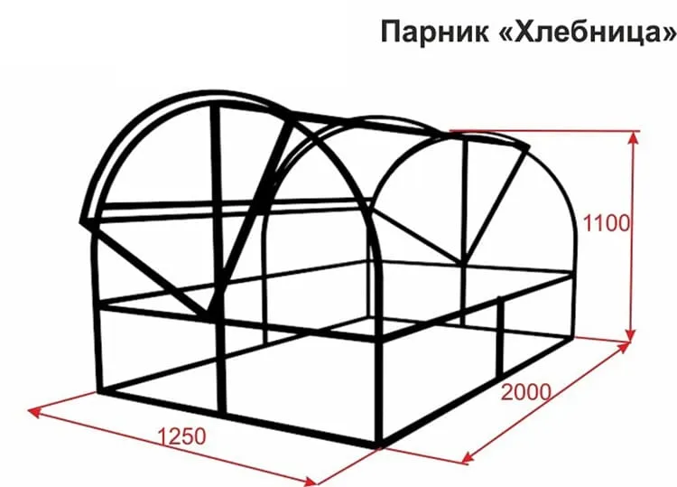 Помощник садовода: парник «Хлебница» и его особенности