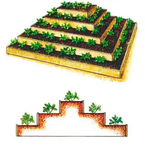 Многоярусные грядки для клубники. Грядка пирамида для клубники: чертежи, фото