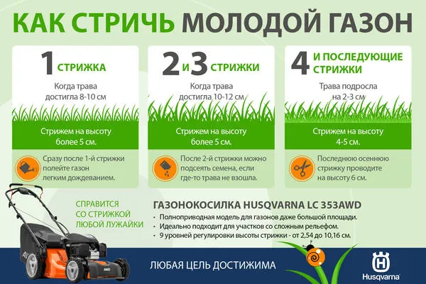 Стрижка посевного газона в первый год жизни