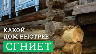 Постер для видео - Какой деревянный дом сгниёт быстрее? Из сосны, кедра или лиственницы?