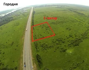 Сколько соток в гектаре