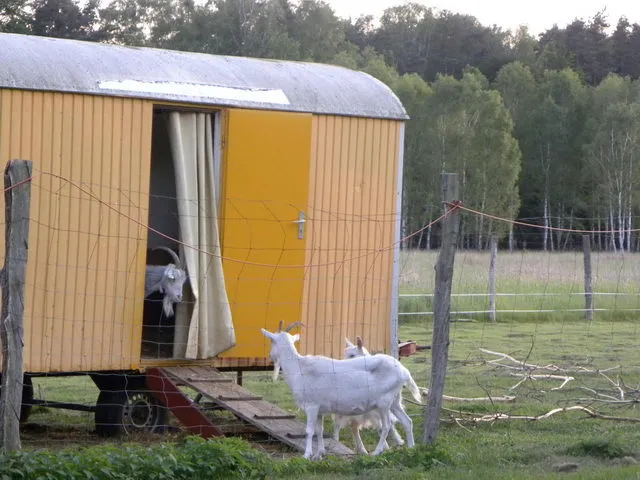 Сарай из вагончика