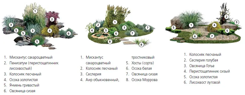 3 варианта оформления клумбы злаковых