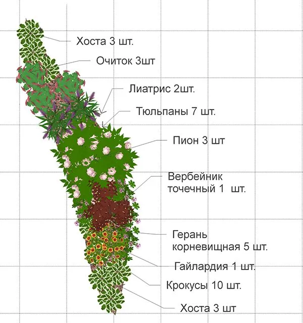 Схема клумбы из многолетников
