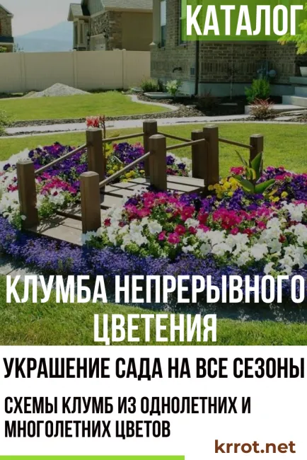 Клумба непрерывного цветения