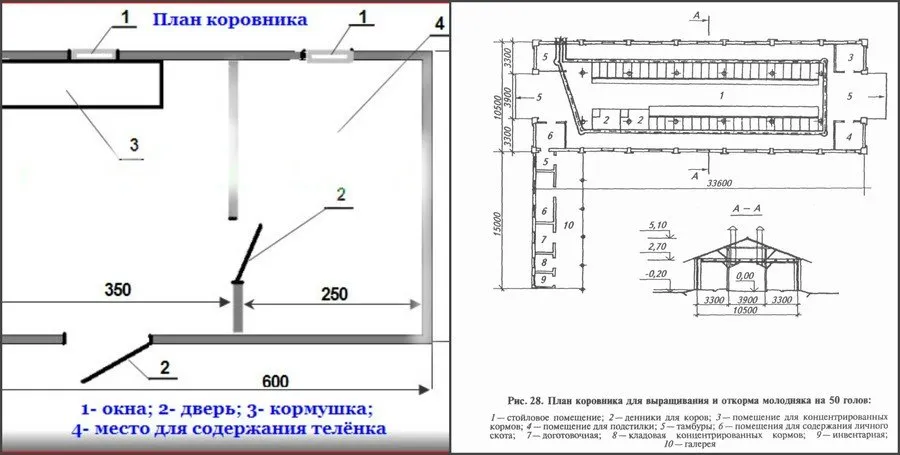 Коровник своими руками чертежи