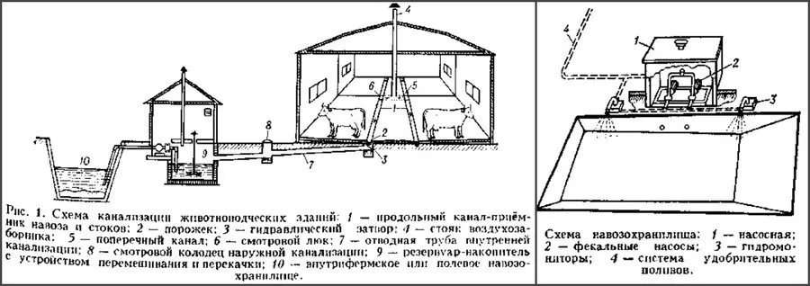 Навозохранилище чертеж